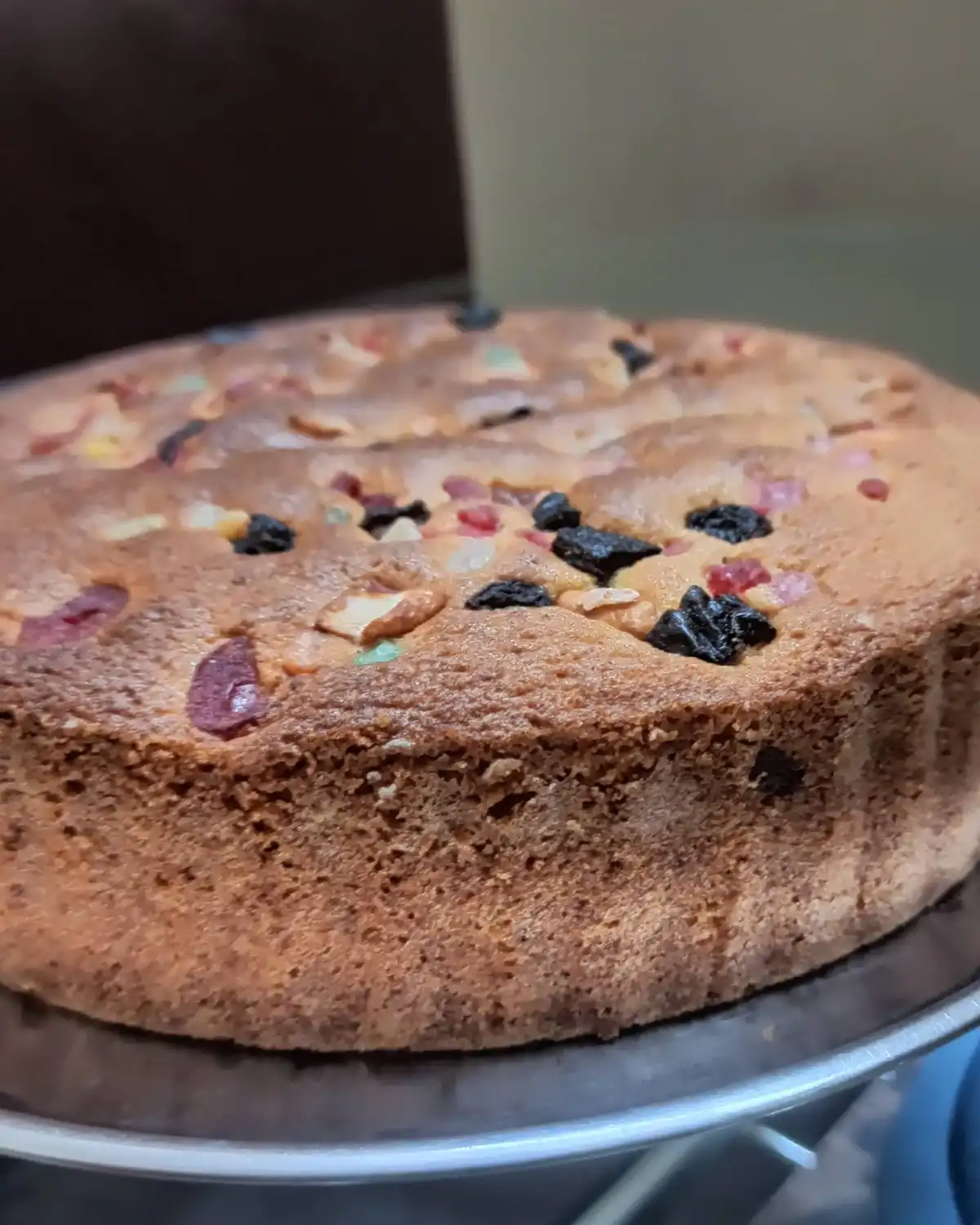 A round golden cake dotted with dried fruit on a metal stand