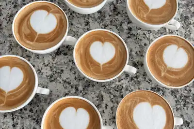 Eight cups of latte with heart-shaped foam on a speckled grey counter